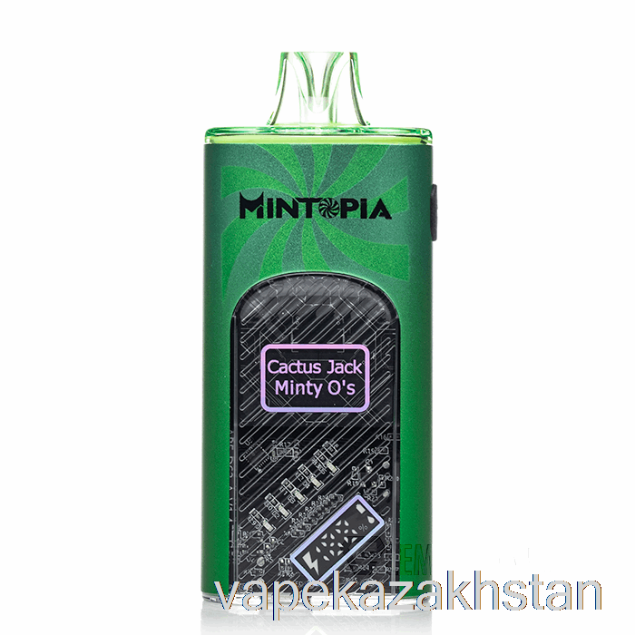Vape Kazakhstan Mintopia Turbo 9000 Disposable Cactus Jack Minty O's